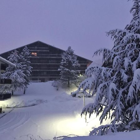 Auron Montain View公寓 外观 照片